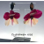 CYCLAMEN ROSE