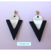 NI1NI2 TRIANGLE